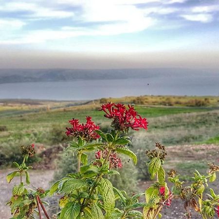 Sea Of Galilee Site Lejlighed Chorazim Eksteriør billede
