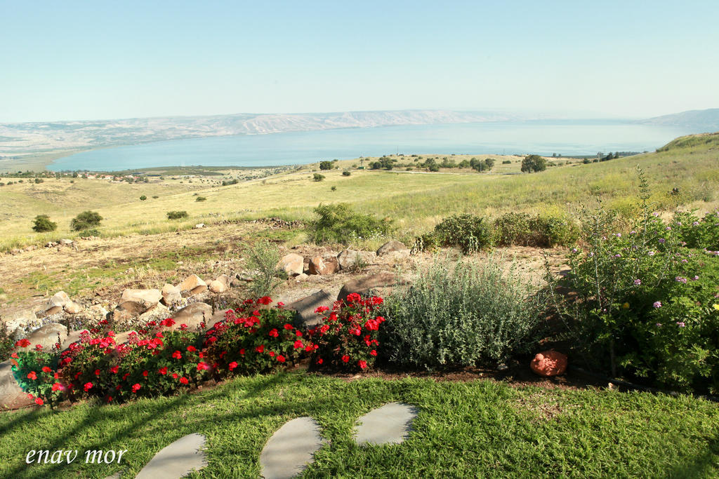 Sea Of Galilee Site Lejlighed Chorazim Eksteriør billede