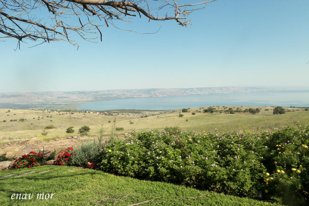 Sea Of Galilee Site Lejlighed Chorazim Eksteriør billede
