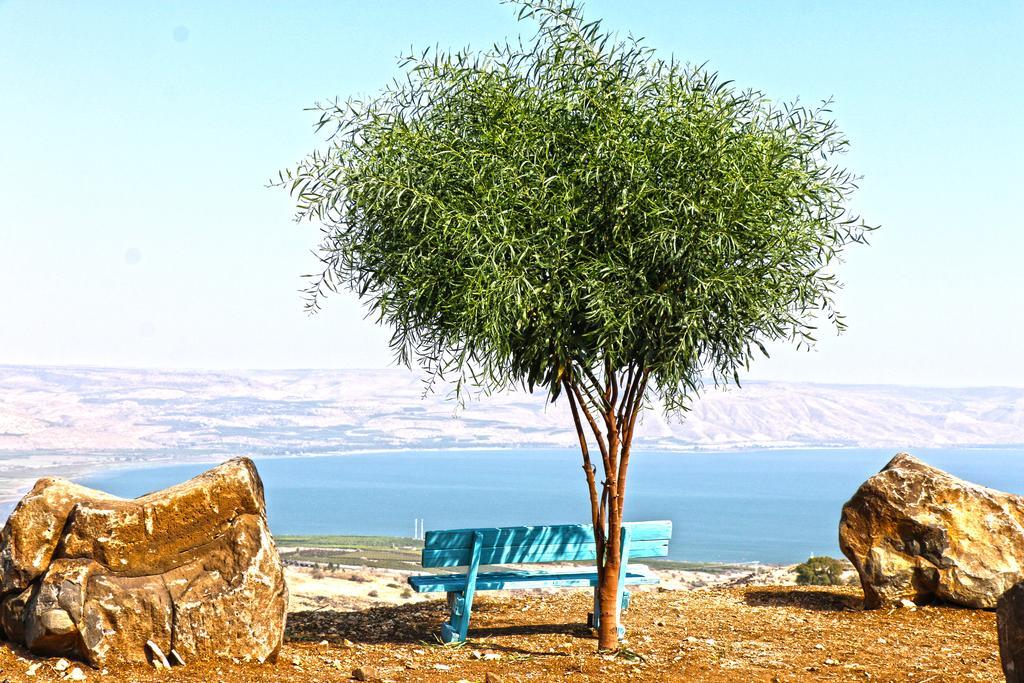 Sea Of Galilee Site Lejlighed Chorazim Eksteriør billede