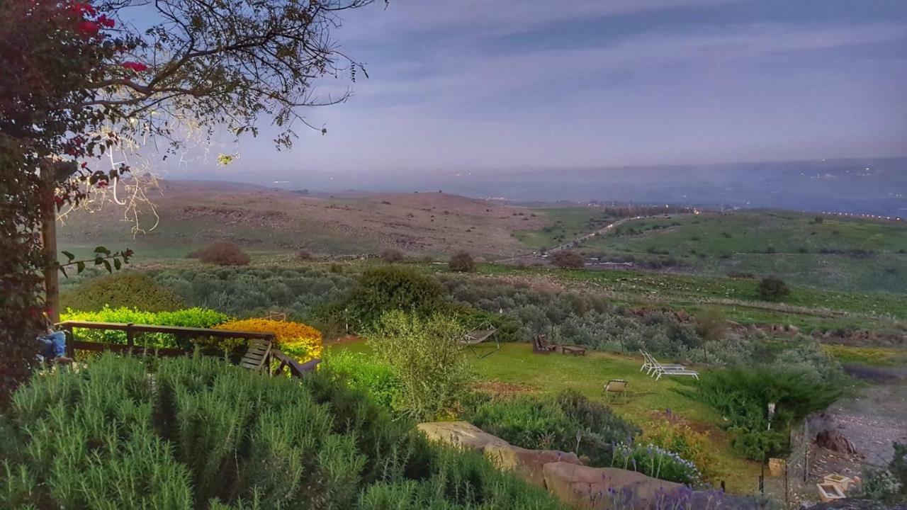 Sea Of Galilee Site Lejlighed Chorazim Eksteriør billede